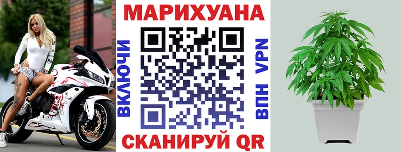 Бошки марихуана MAZAR  Купить  Купино 